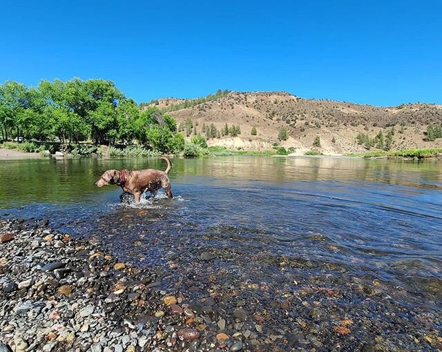 Afternoon at the John Day River.