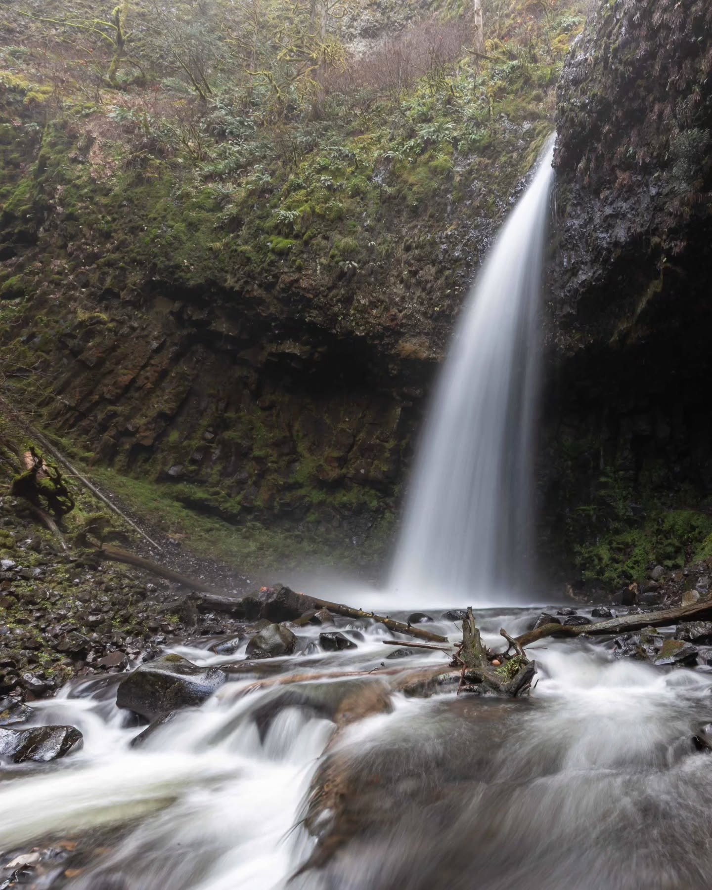 Its always nice to get out in the woods. I went on a nice loop hike with family at Latourell Falls followed by lunch at Cascade Locks. Great conversation, sights, and food. Pic 5 is me and my cousin Anna.
.
.
.
.
#oregonexplored #pnw #portlandnw #you