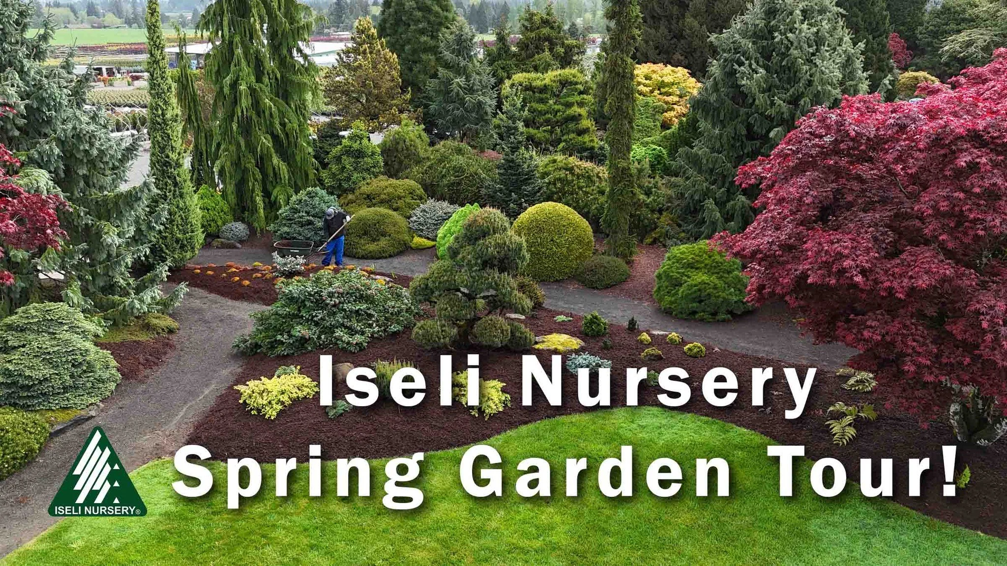 Spring Garden Tour YouTube Thumnail