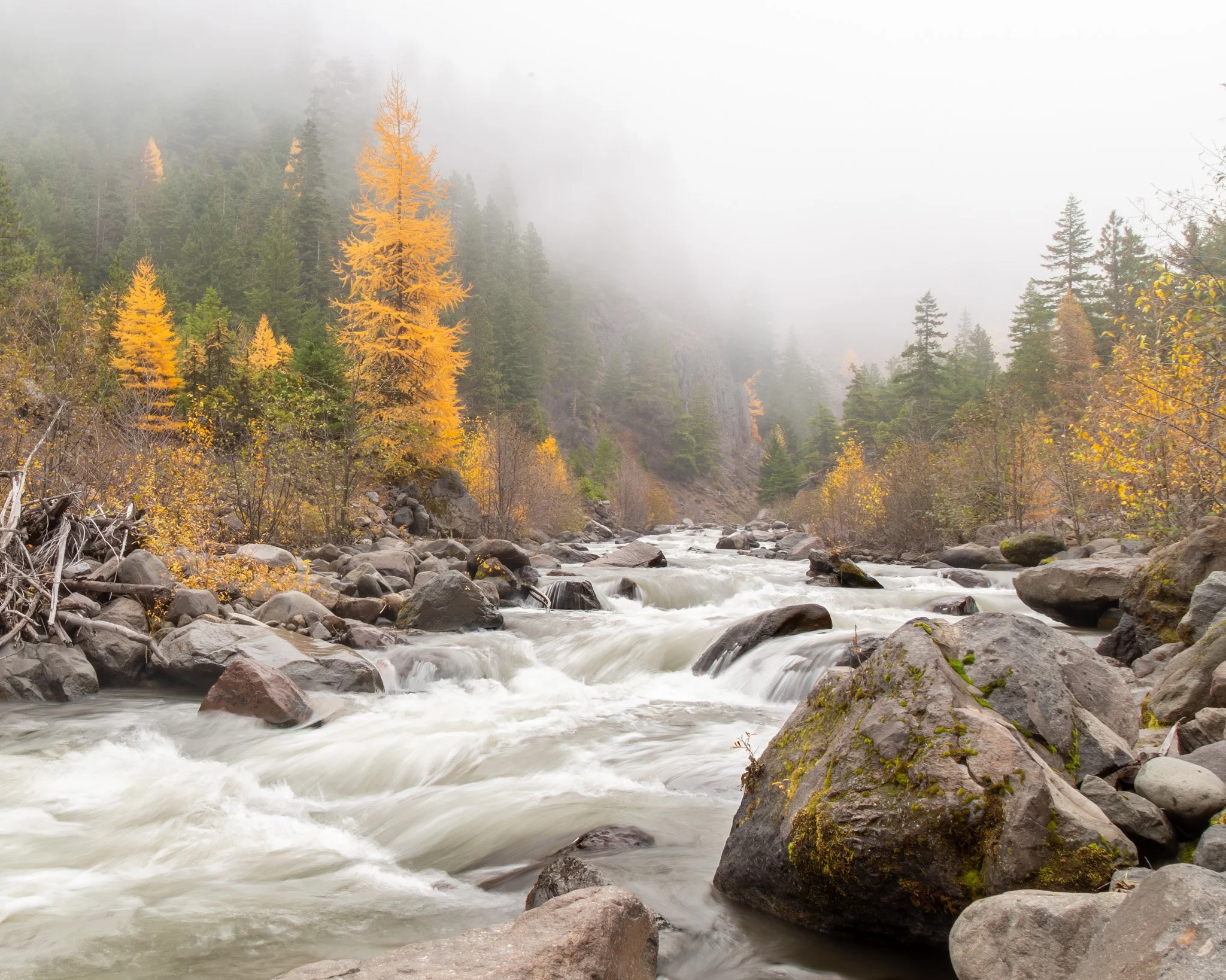 IMG_1771-HDR.jpg