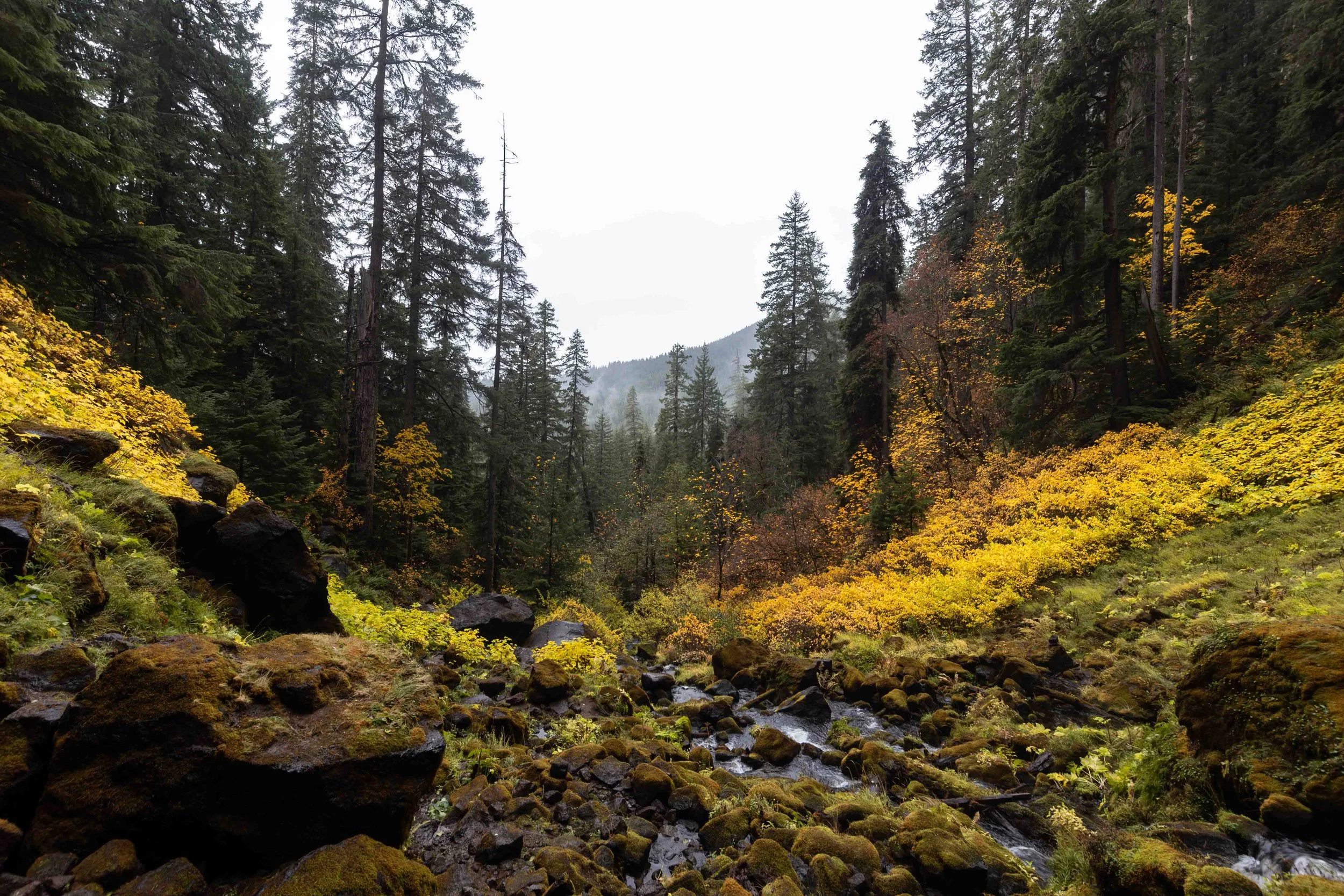 Watson Falls 6.jpg