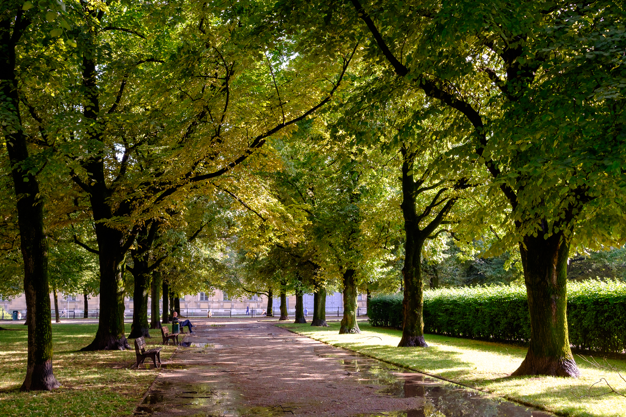 DSCF0660.jpg