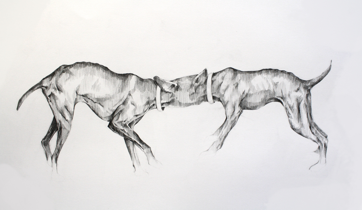 Proxemics 2