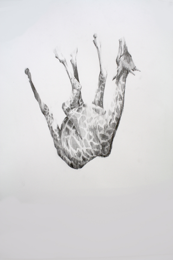 Proxemics 2