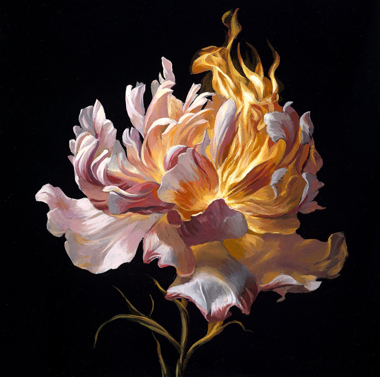 Fire Flower 1
