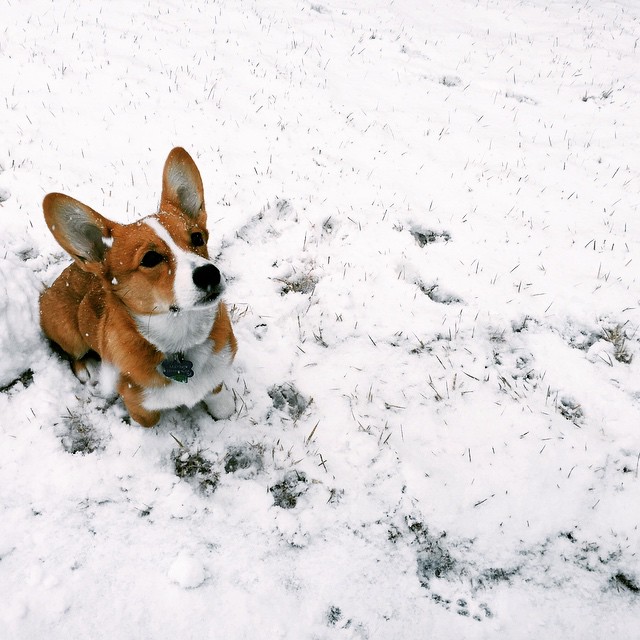 Maybie in the snow. She loved it, I hate it.