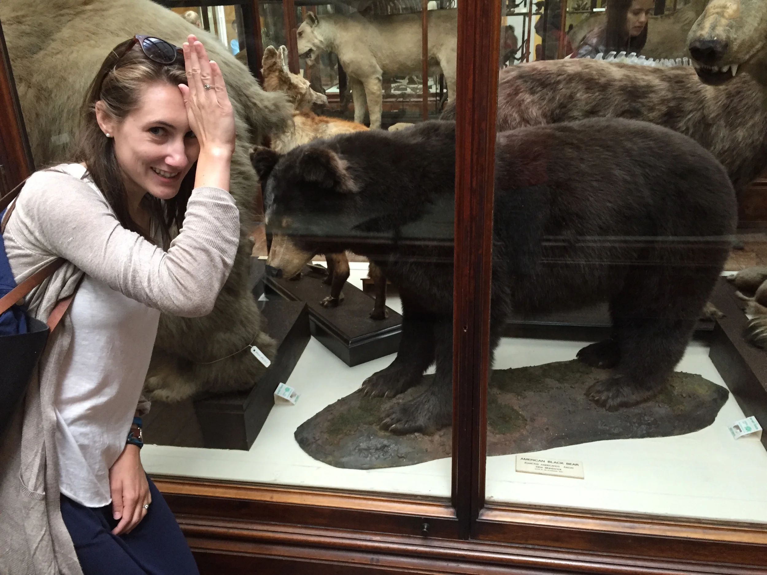 Fins up I found an Ole Miss black bear in the a Natural History Museum 