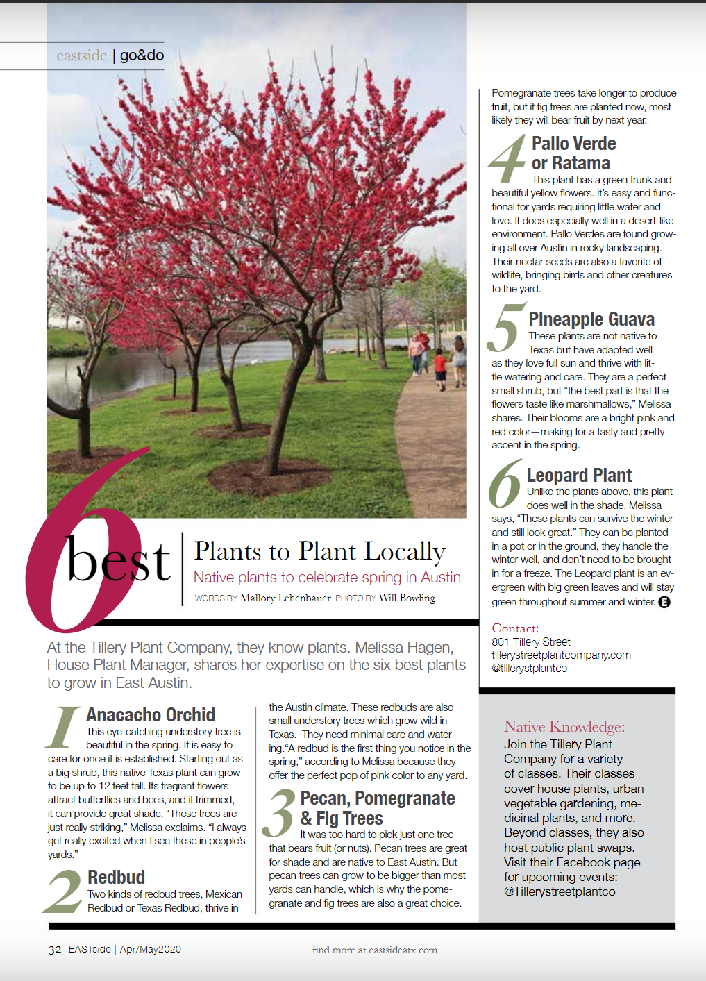 6 Best Plants to Plant Locally
