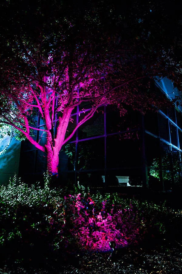 led-up-light-garden-office-building-landcaping.jpg