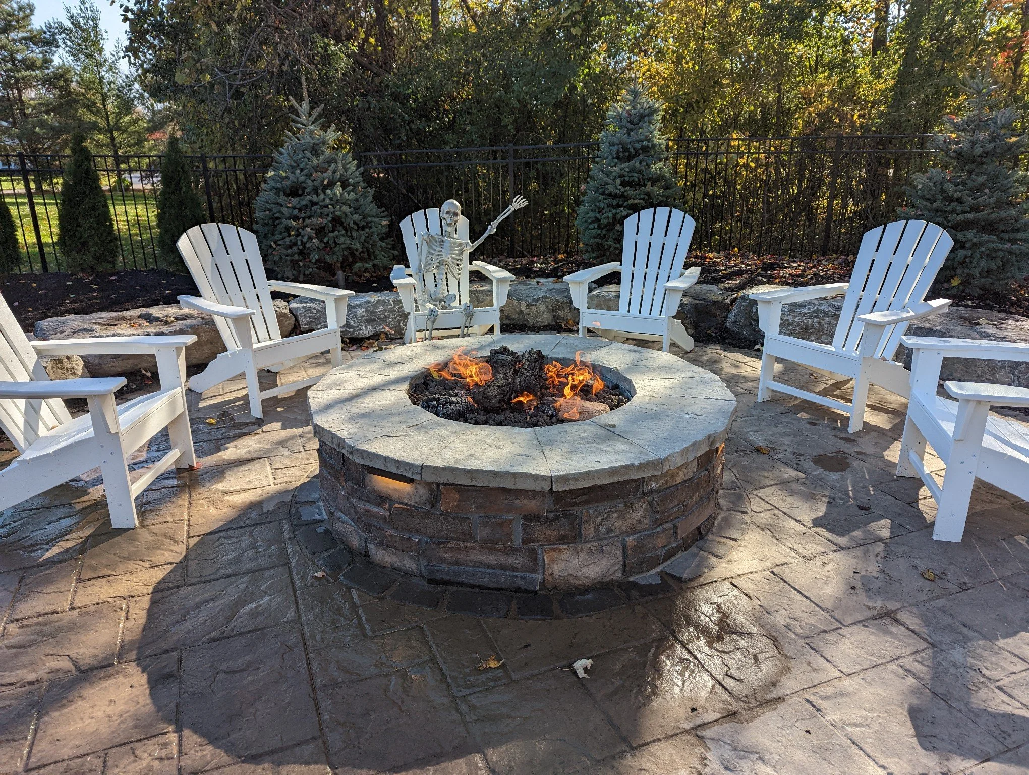 20221022_015043443_iOS fire pit skeleton.jpg