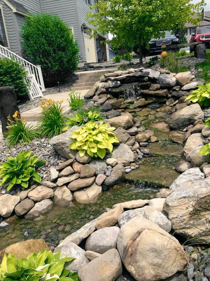 A landscaped garden with a small stream flowing over rocks, surrounded by green and yellow plants, with a staircase leading to a house in the background.