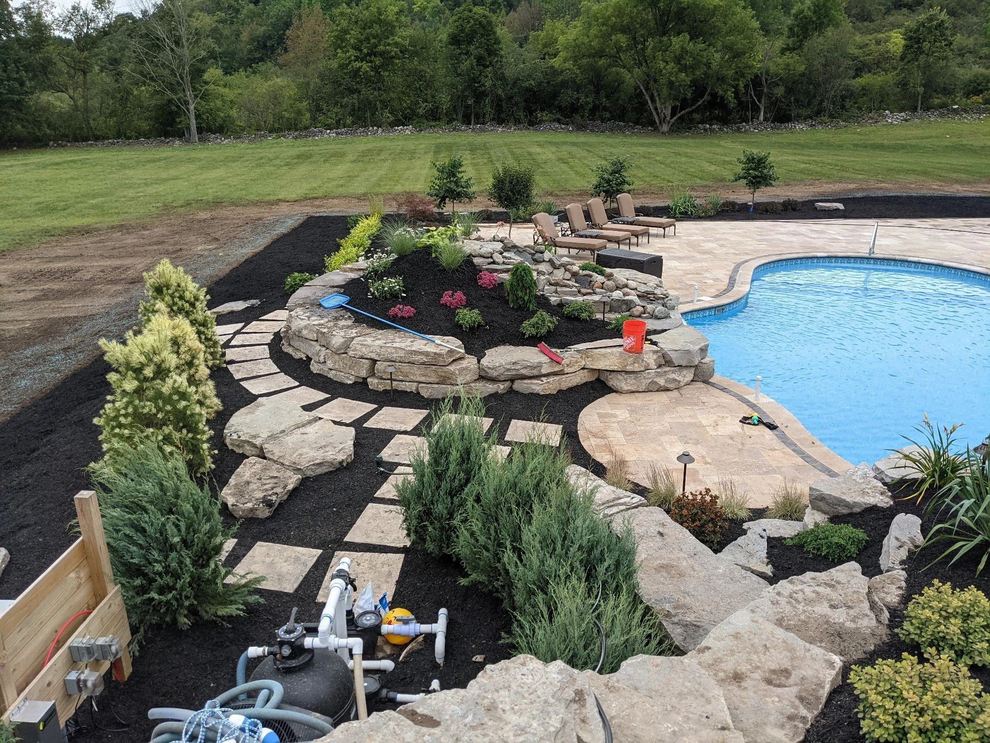 A backyard with a new swimming pool, stone pathway, landscaped plants, garden beds, and outdoor lounge chairs, with a grassy field and trees in the background.