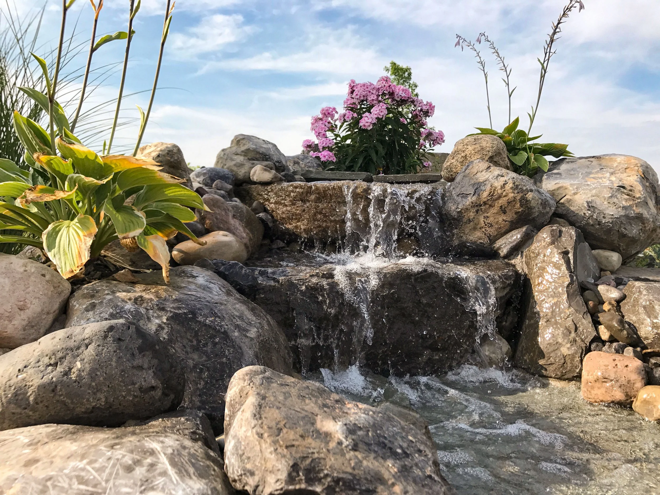 A small waterfall flowing over rocks into a stream, surrounded by green plants and a pink flowering bush, under a partly cloudy sky.