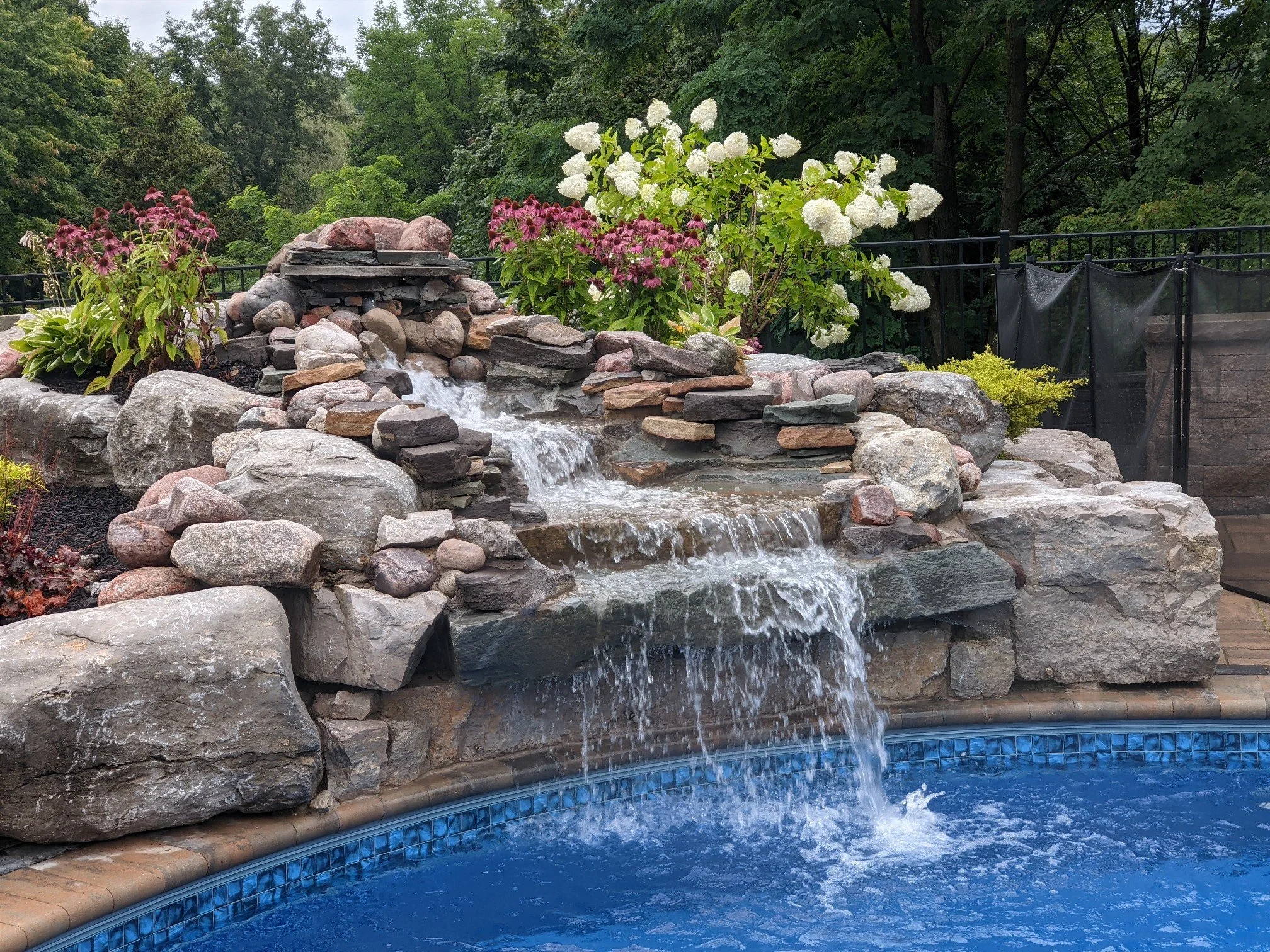 A backyard with a small waterfall flowing into a swimming pool, surrounded by rocks and flowering plants, with trees in the background.