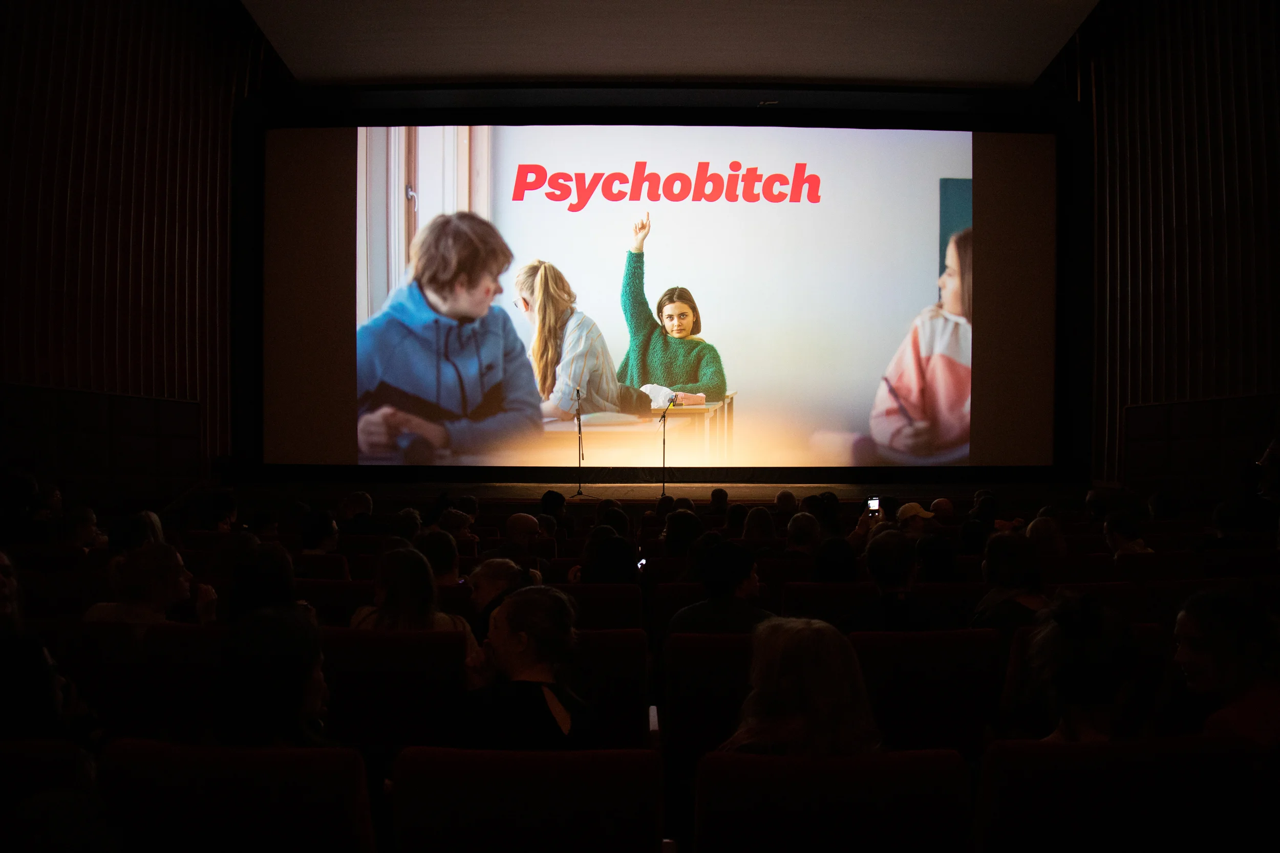 Psychobitch_Premiere_Ape&Bjorn_Klingenberg-22.jpg