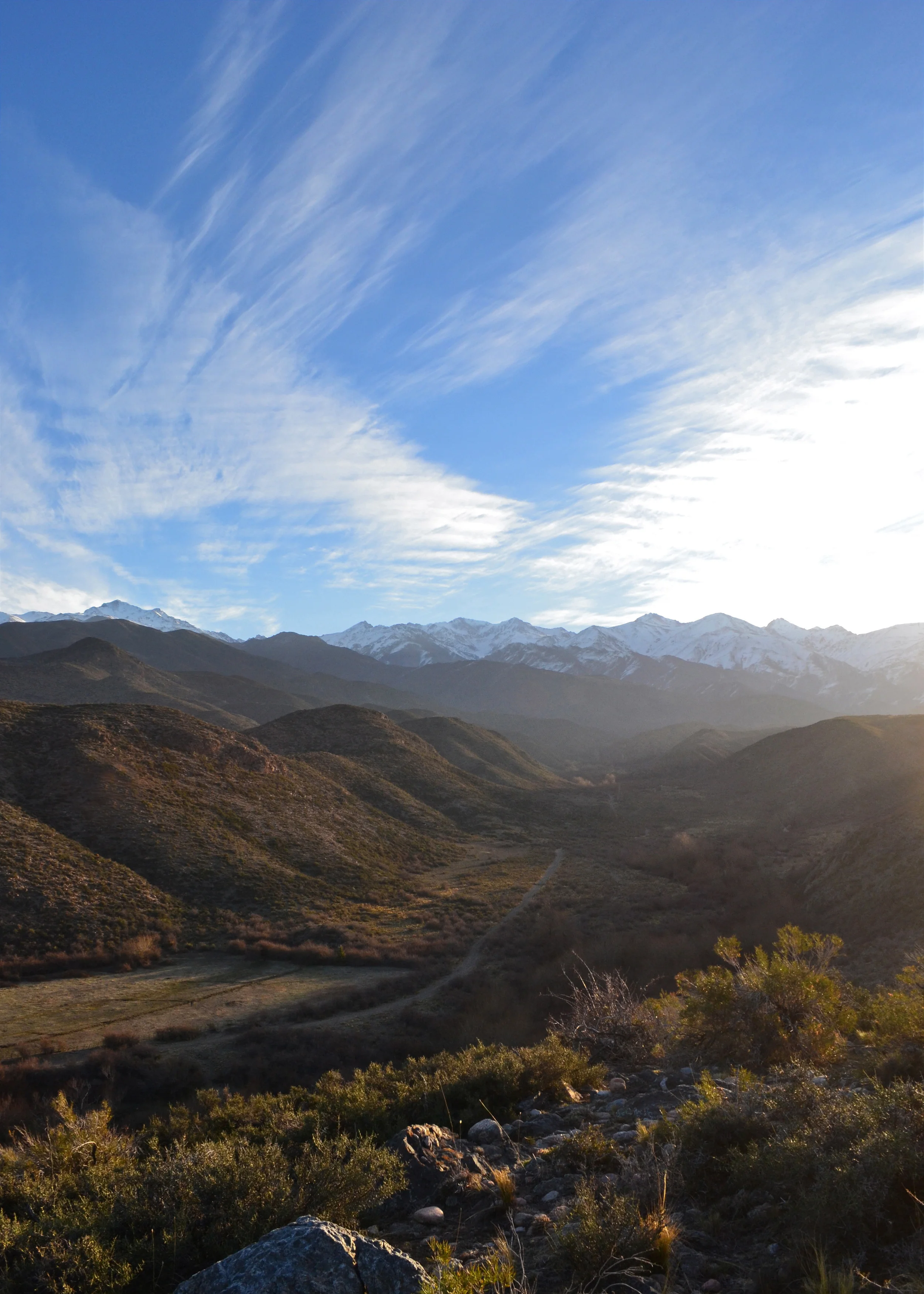 View.jpg