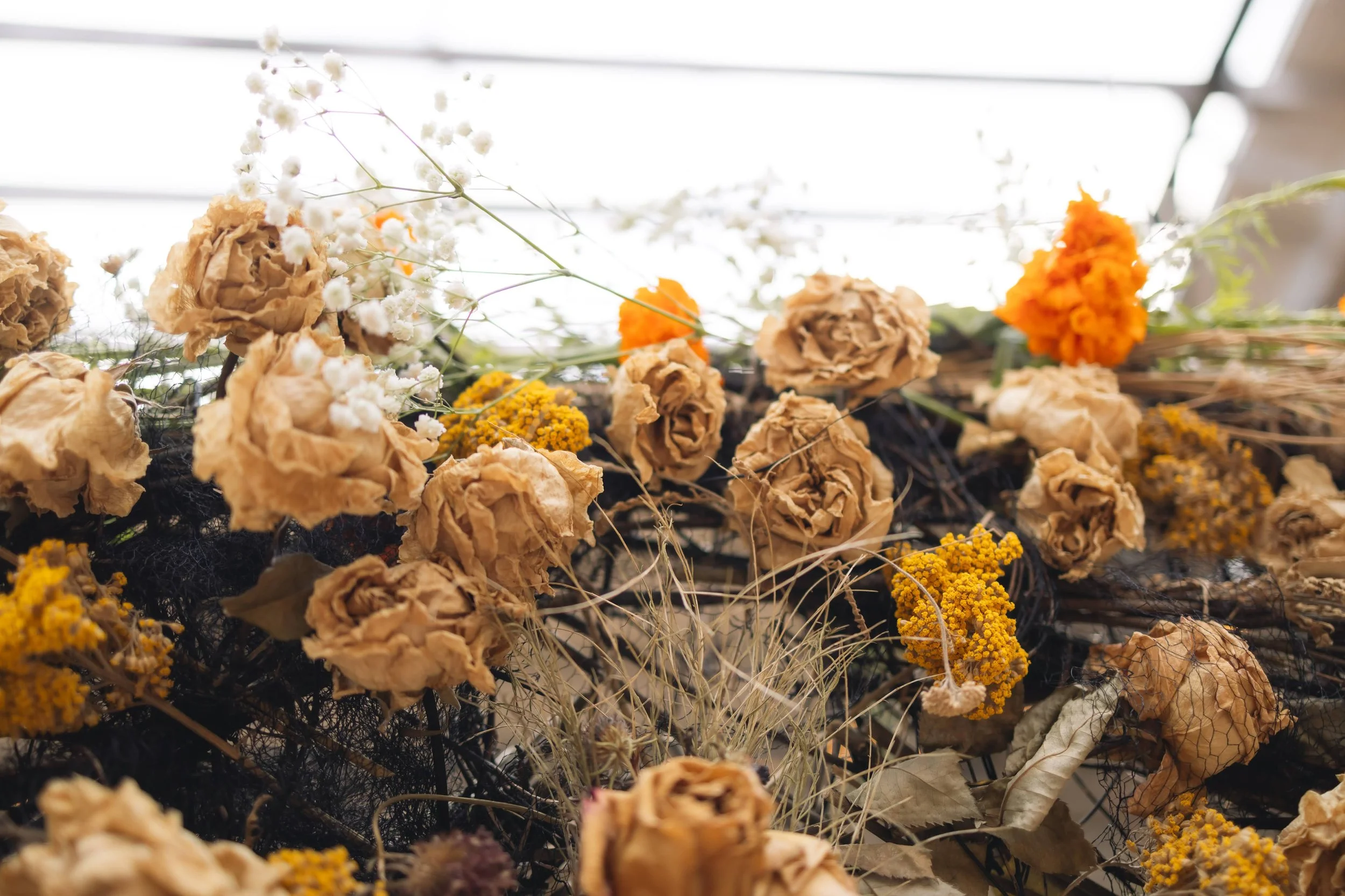 Dried flower frame for Ofrenda (Detail)