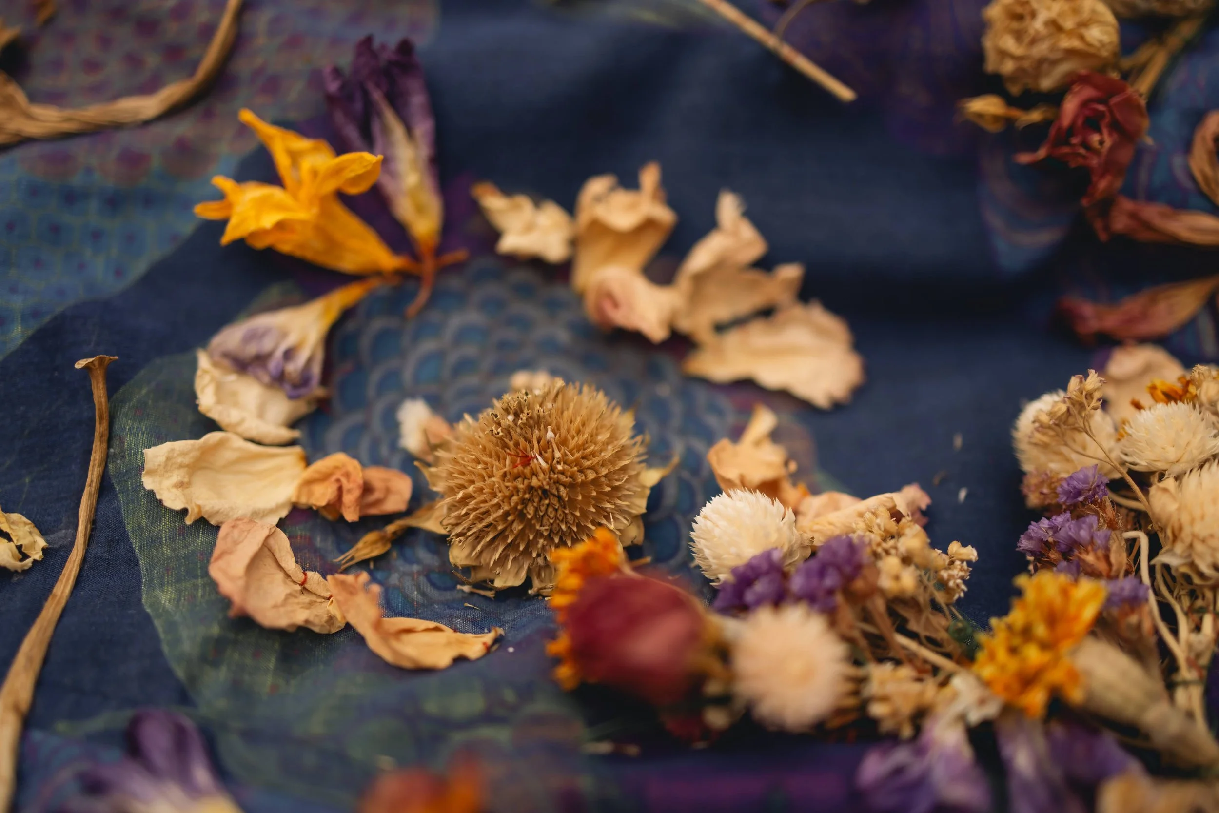 Dominic's Shirt (Detail)