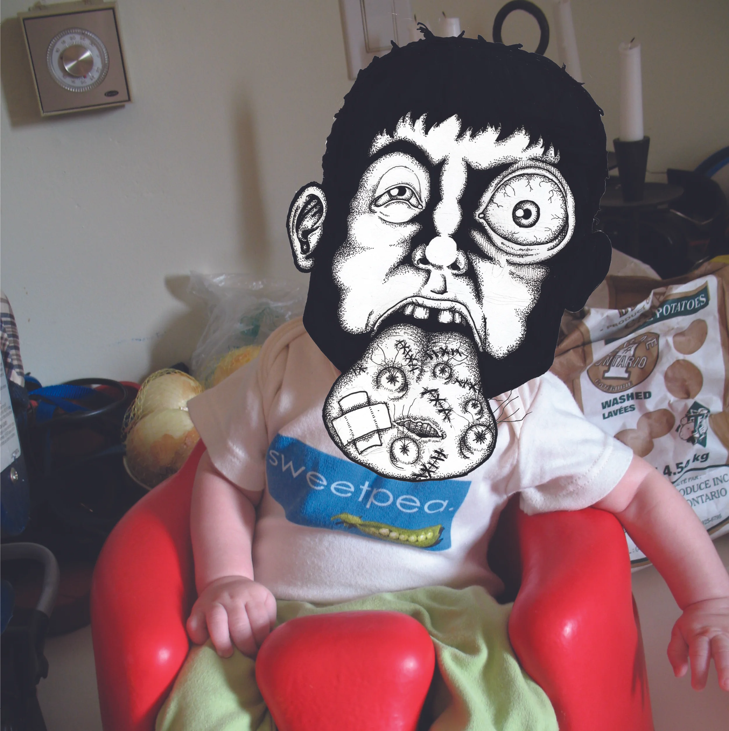 Back Cover of the Altamont Fall 2010 Catalog