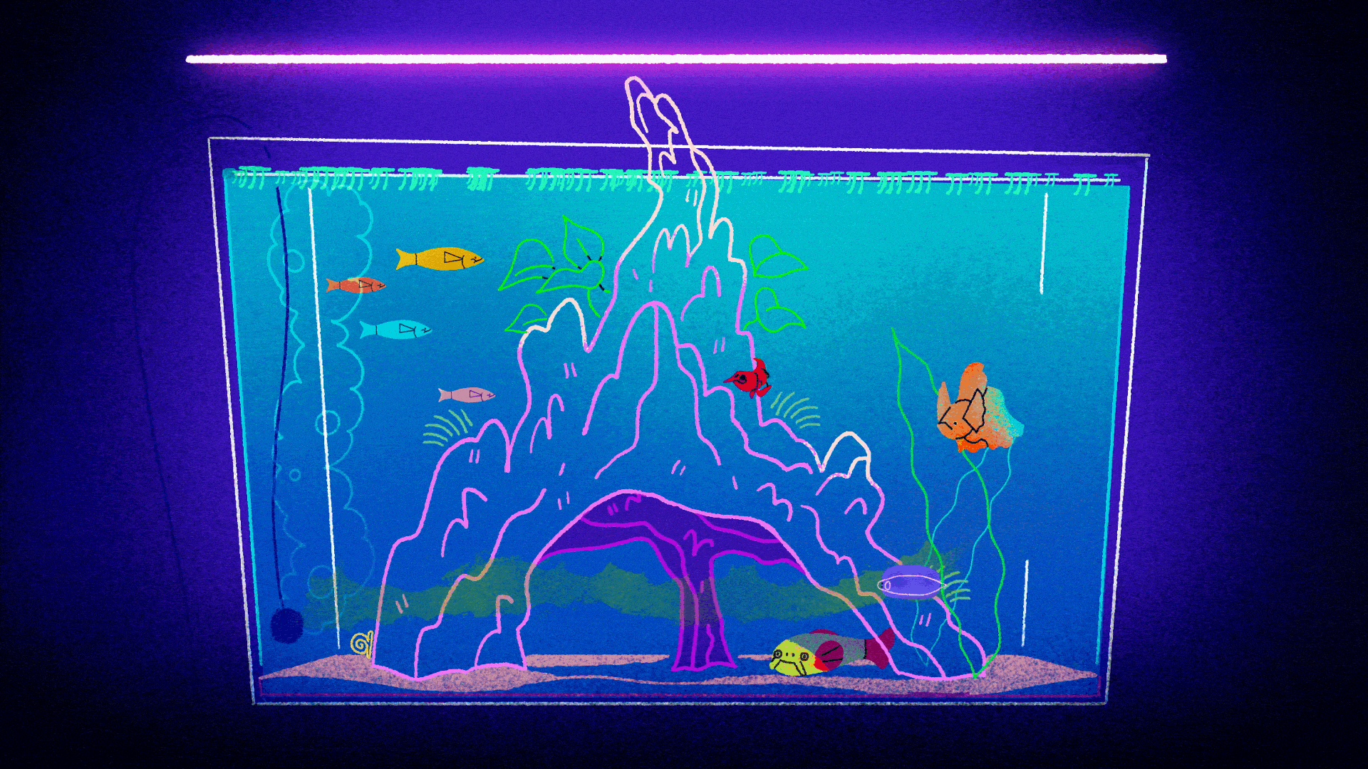 Aquarium.gif