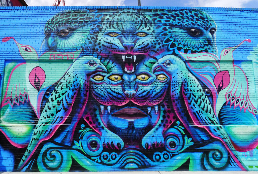 Shamanic Vision