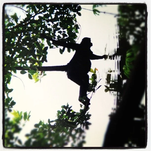 Quistochocha (Taken with instagram)