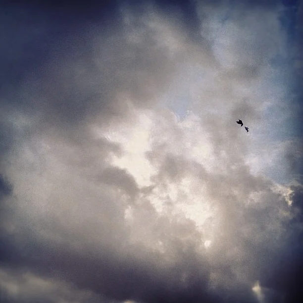 #flyingbird in the #clouds  (Taken with Instagram)