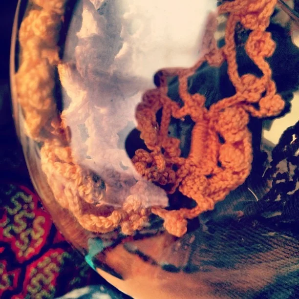 #studio #recreation #crochet #spaceship #reflection #shipibo #ayahuasca #patterns