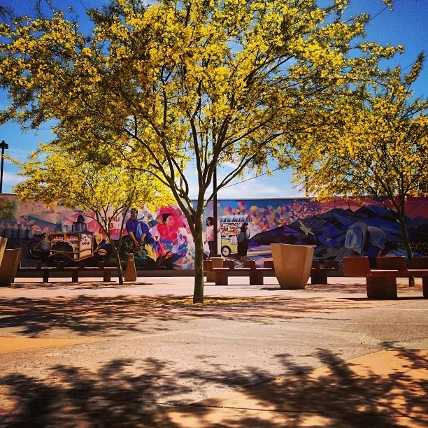 #PasoPortAll has its #spring #colors on #mesmerizing #beauty of #yellow #flowers #enchanting the #mural @wercworldwide  (at Stanton International Brige)