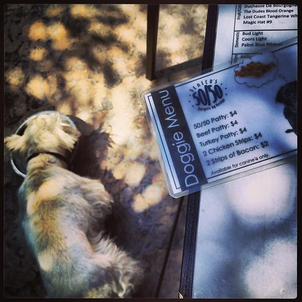 #100 #choices of #beer #ontap and a #doggiemenu #amazing #living for the #doggielovers #oh #california #howilovethee #westie in #heaven @wercworldwide  (at Slater’s 50/50)