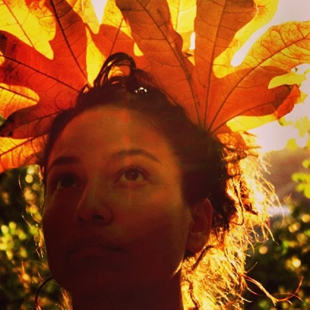 #tbt from our #adventures in #sandiego @ #balboapark #hike flickby: @wercworldwide #autumn #fall #orange #maple #sun #glow #throwbackthursdays