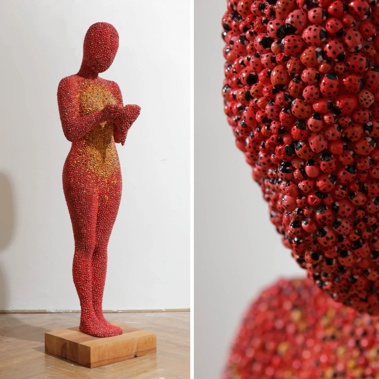 moarrrmagazine:

Ladybird by Gábor Fülöp (Hungary) from the Deadly Nature exhibition in Debrecen