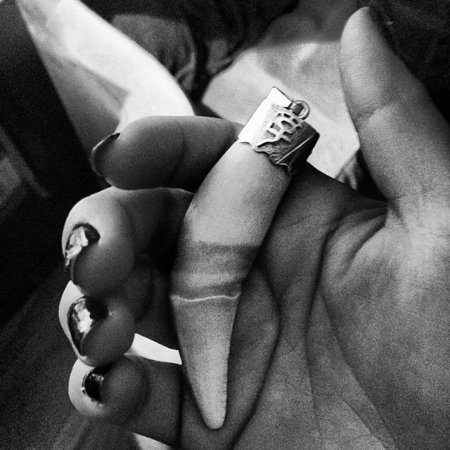 #jaguar #saber #tooth from #Guyana #ancient #energy #flow of #life #ix #love #potd