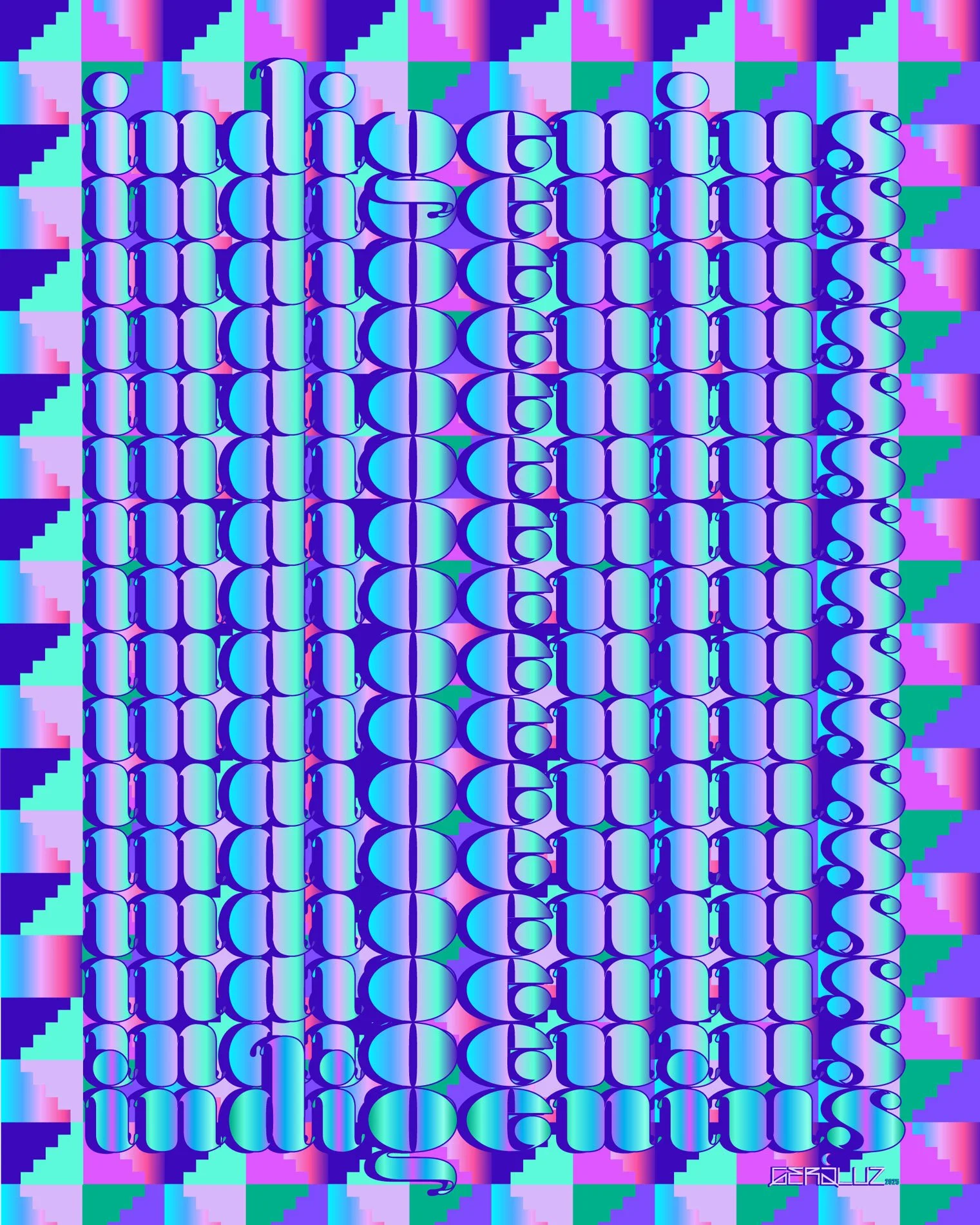 GERALUZ_INDIGENIUS_DESIGN_2025_web.jpg