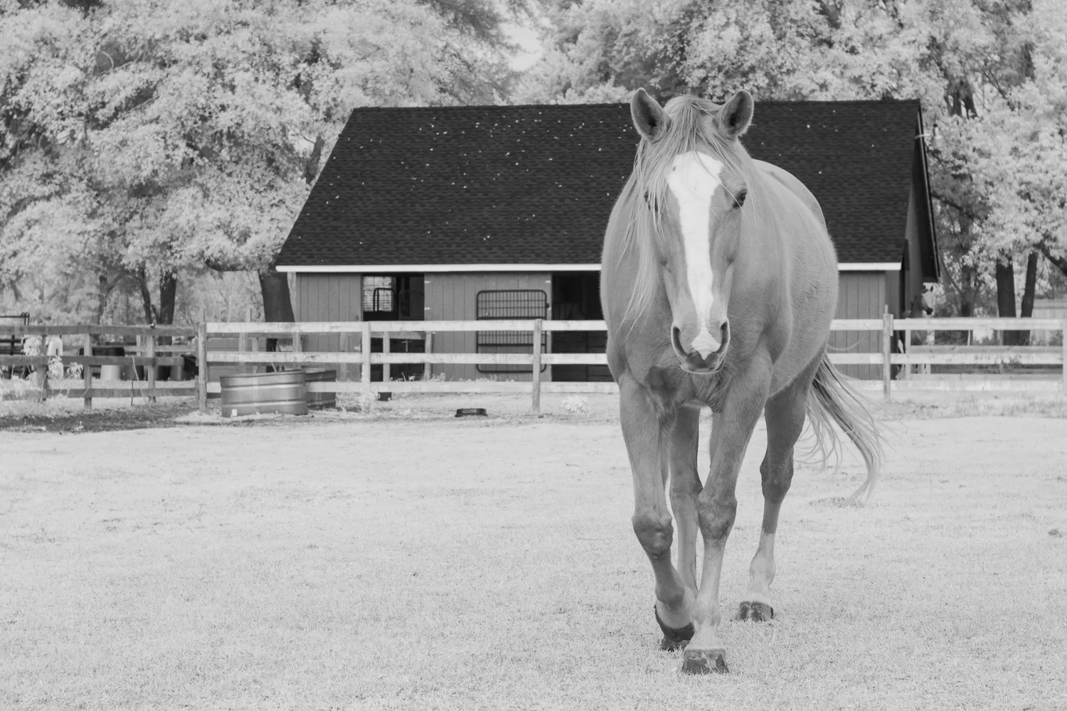 MCGphotographyIMG_9631.jpg