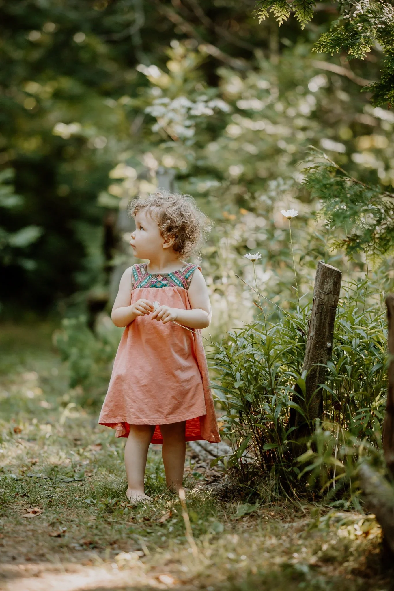photographe-famille-enfant-laurentides-1.webp
