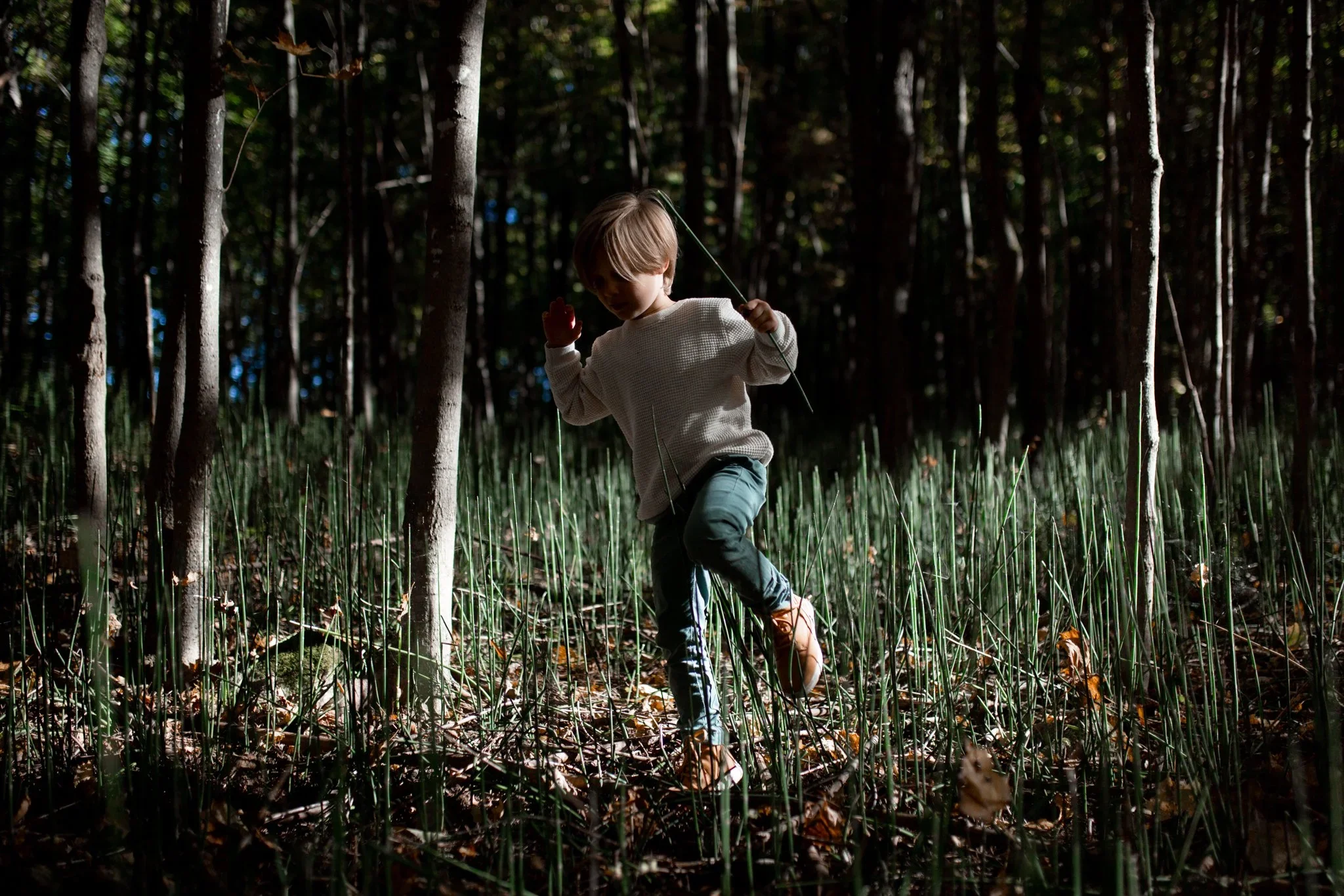 seance-photo-lifestyle-randonnée-famille-enfants-basses-laurentides-1.webp