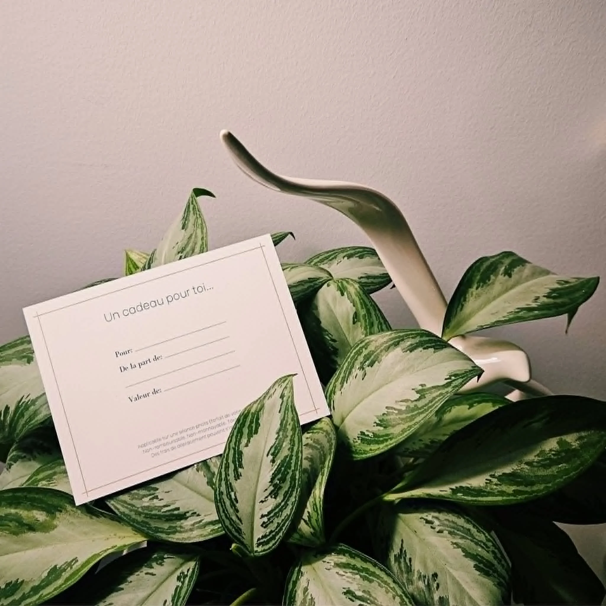 Certificat-Cadeau - Promo fête des mères