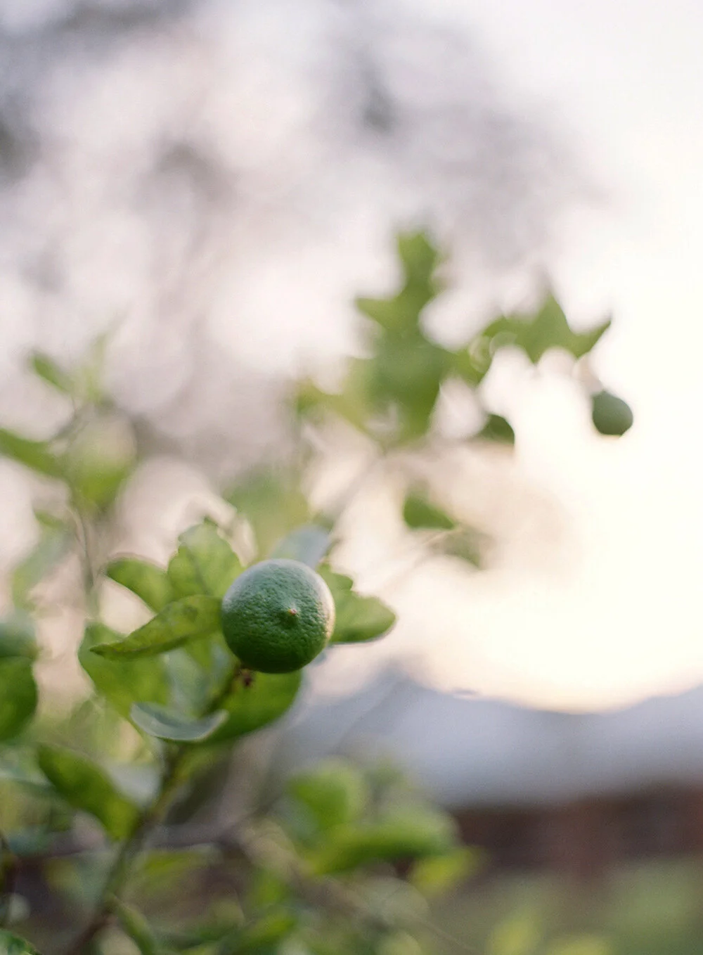 Destination Wedding Photography Mexico