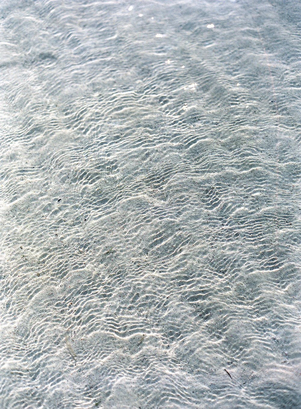 Ocean Club Bahamas Wedding