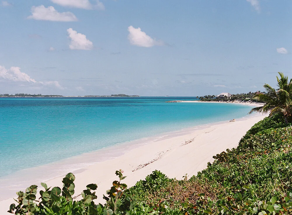 Ocean Club Wedding Photographer