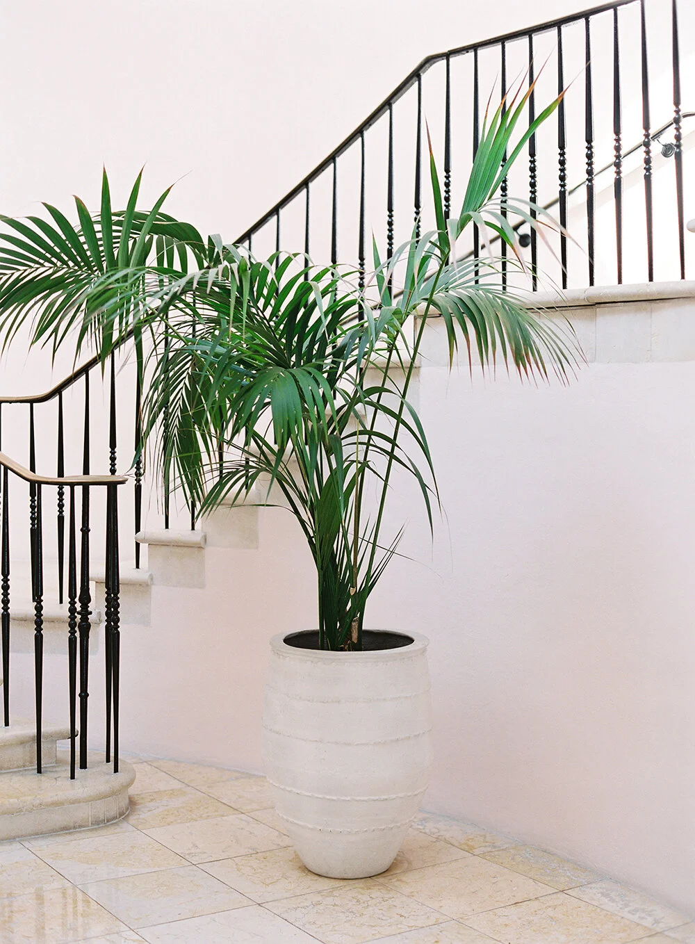 Ocean Club Four Seasons Top Photographer