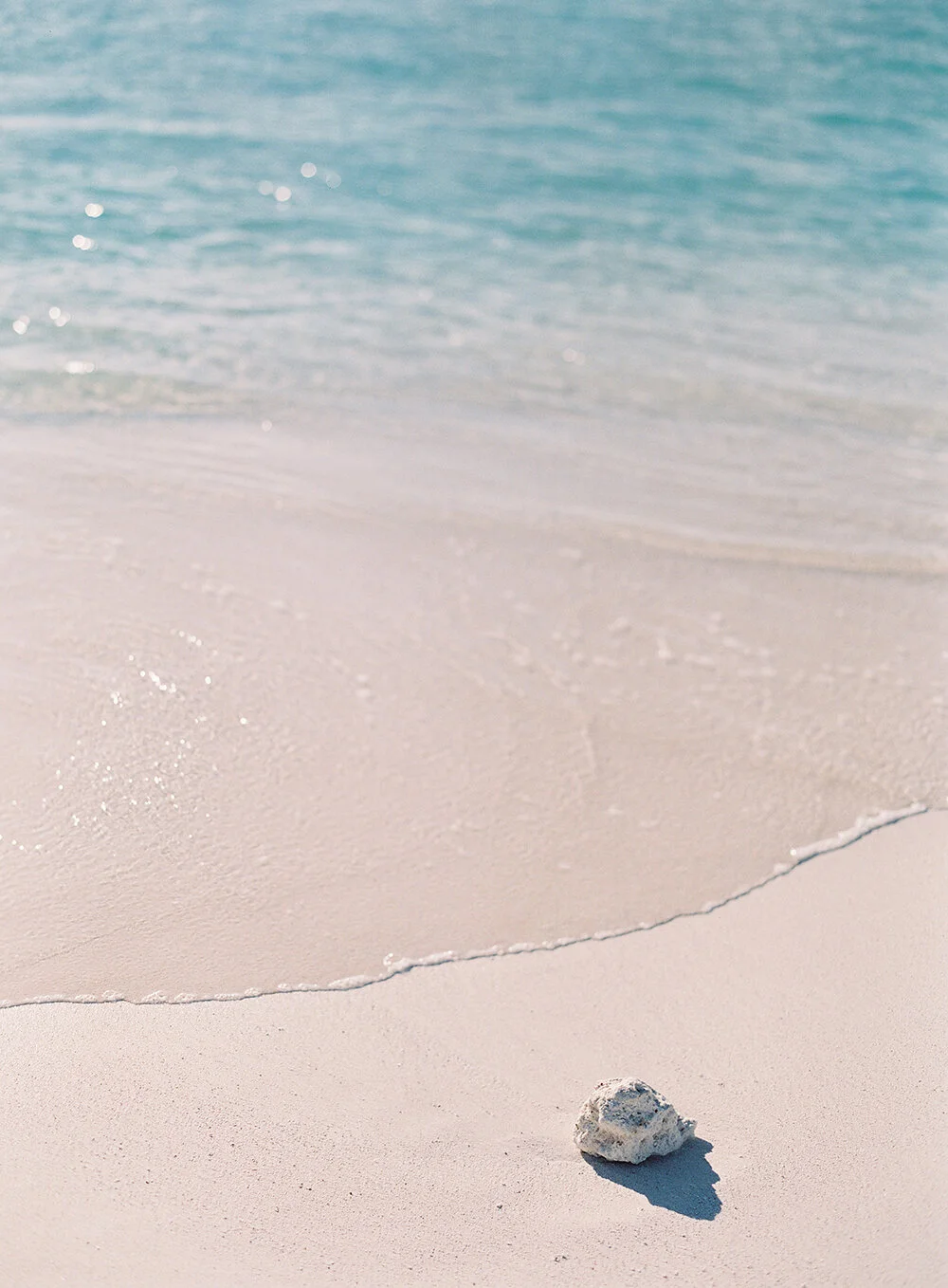 Bahamas Ocean Club Wedding