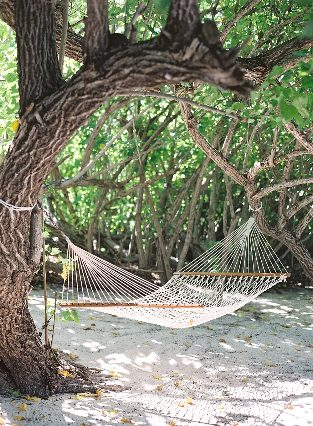 Christine Doneé Destination Wedding