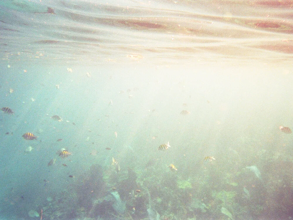 Luxury Wedding Ocean Club Bahamas