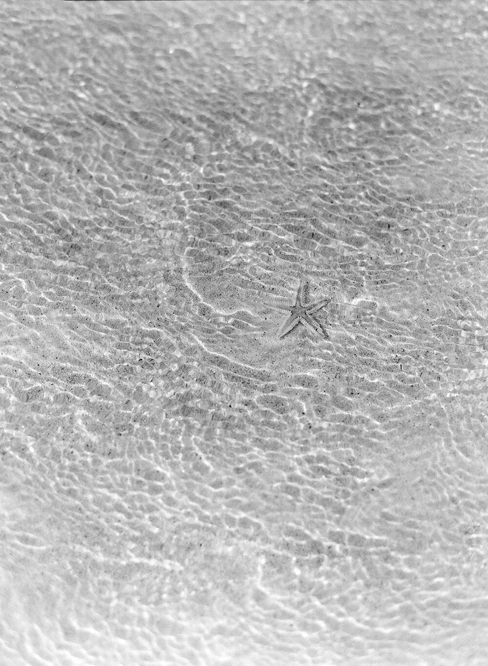 Wedding Photographer Destination