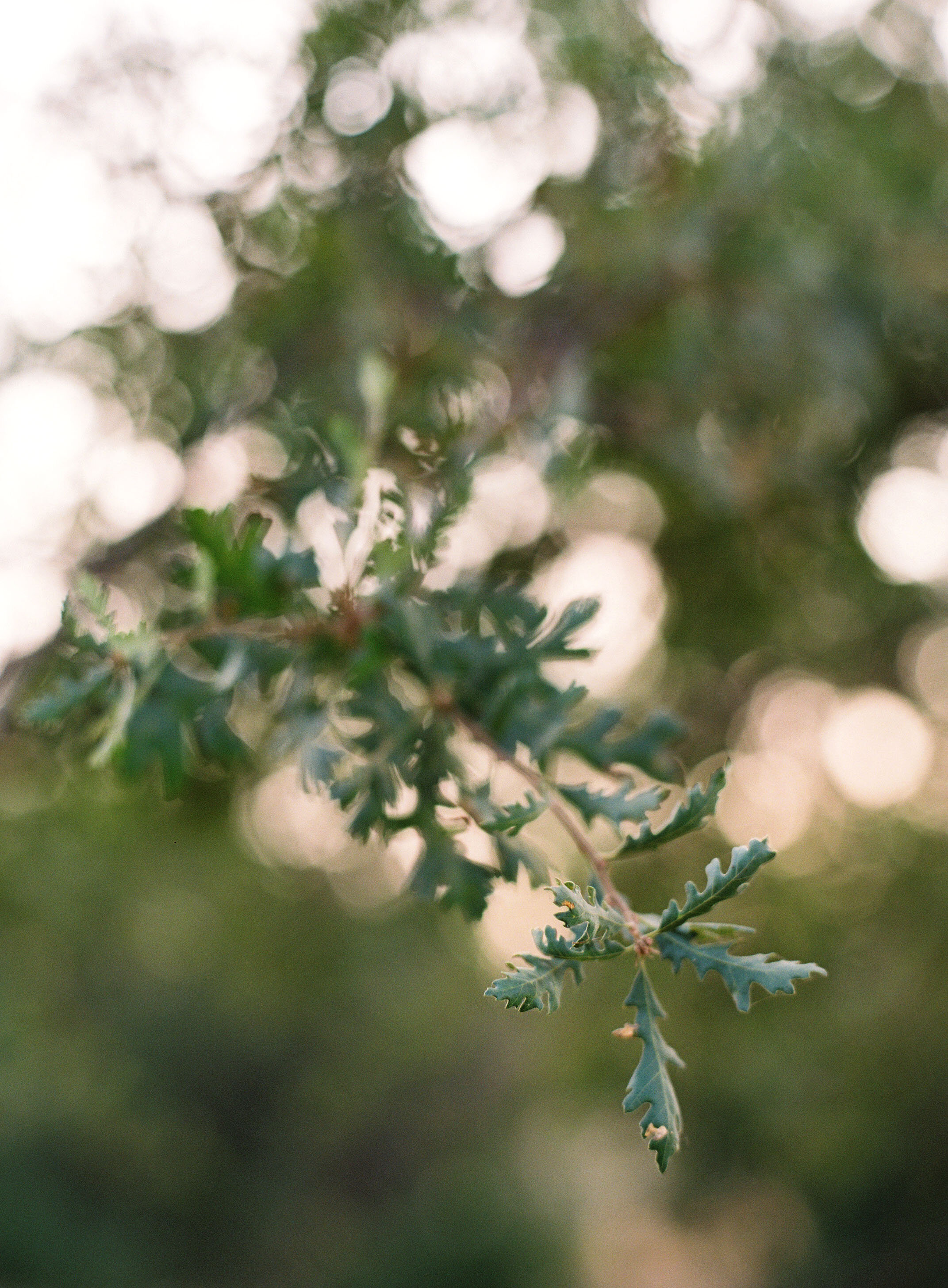2 - Malibu Canyon in the Fall.jpg