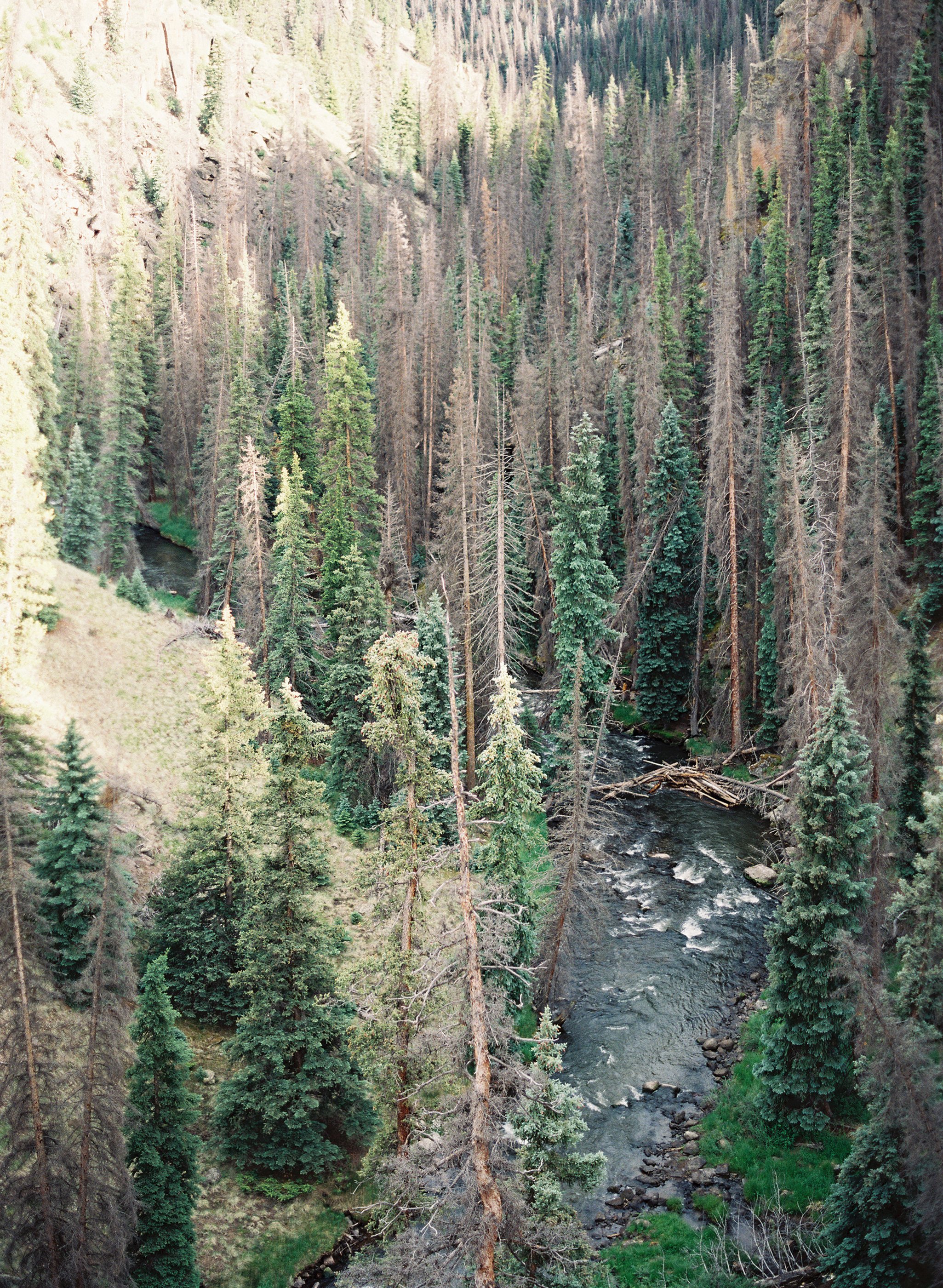 Destination-08.jpg