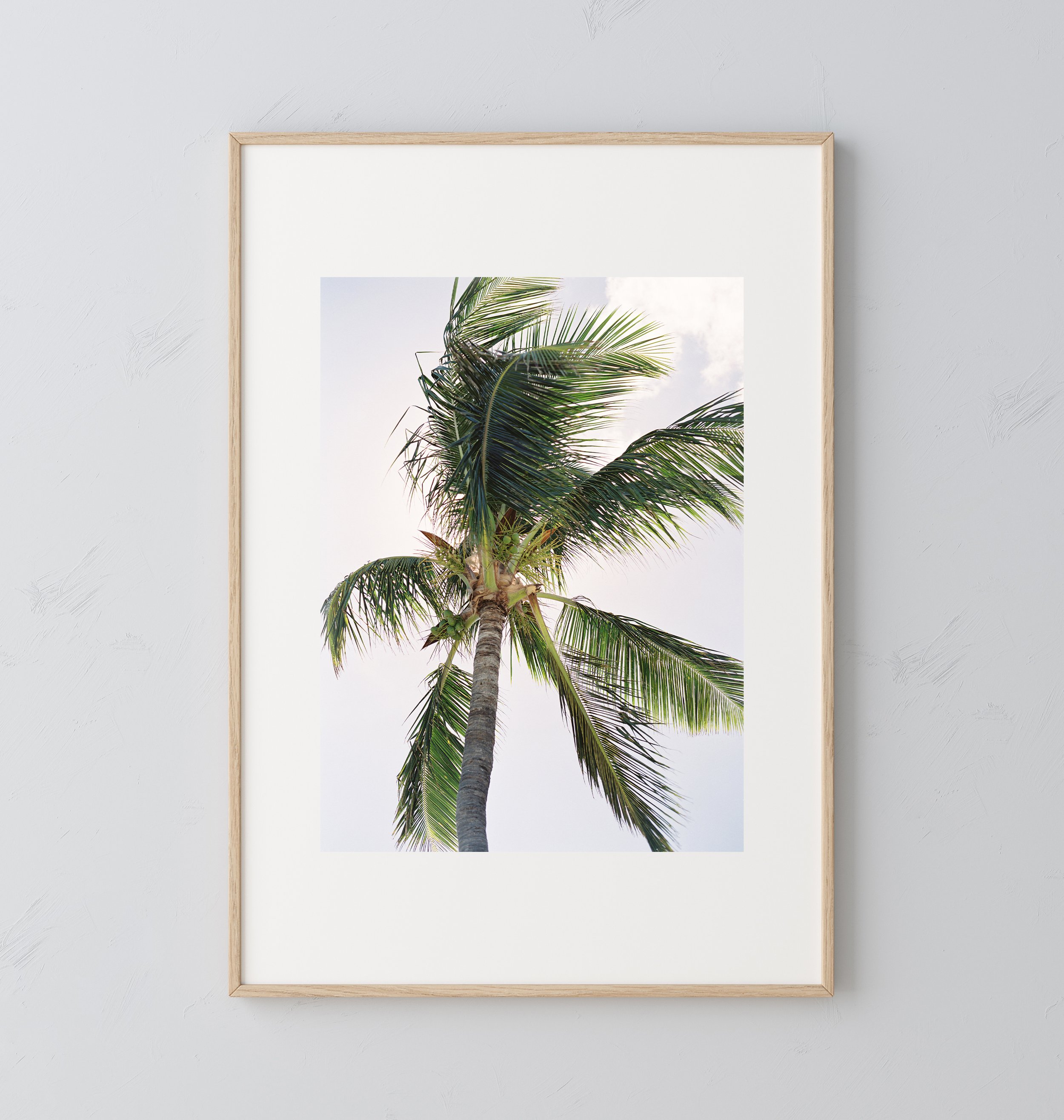 Vacation-08-Hawaii-Palm-Tree-Photography-Print.jpg