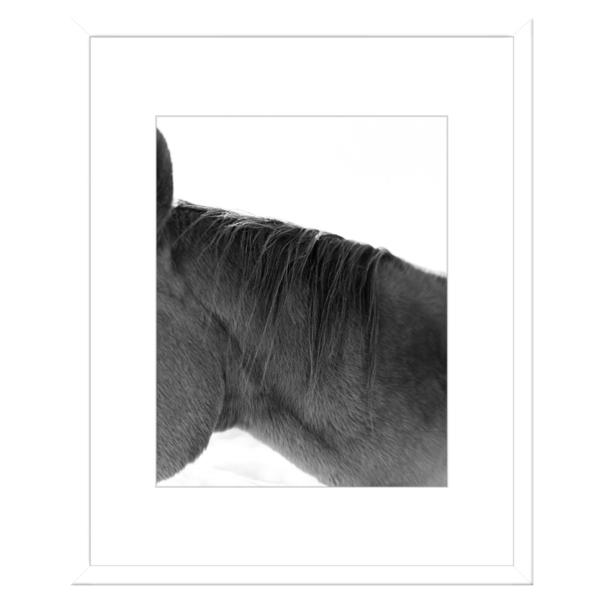 Wild-02-White-Frame-Photography-Print.jpg